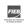 fieb.png
